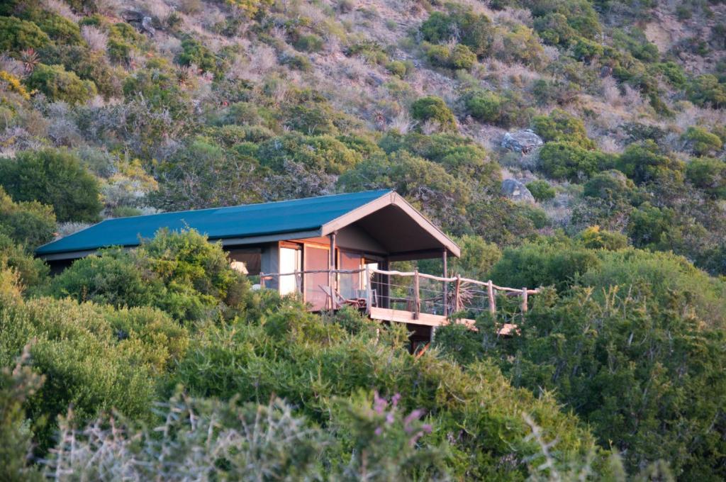 Hillsnek Safari Camp - Amakhala viltreservat Rum bild