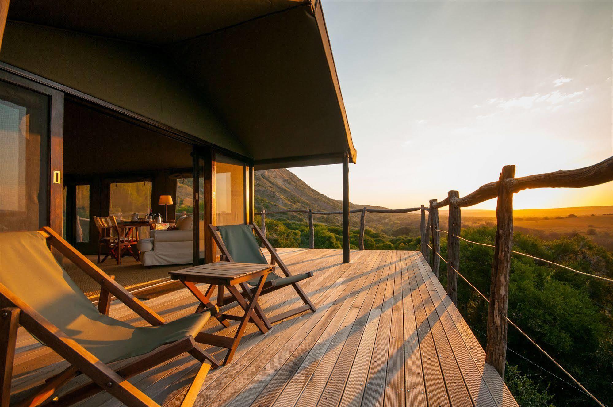 Hillsnek Safari Camp - Amakhala viltreservat Exteriör bild