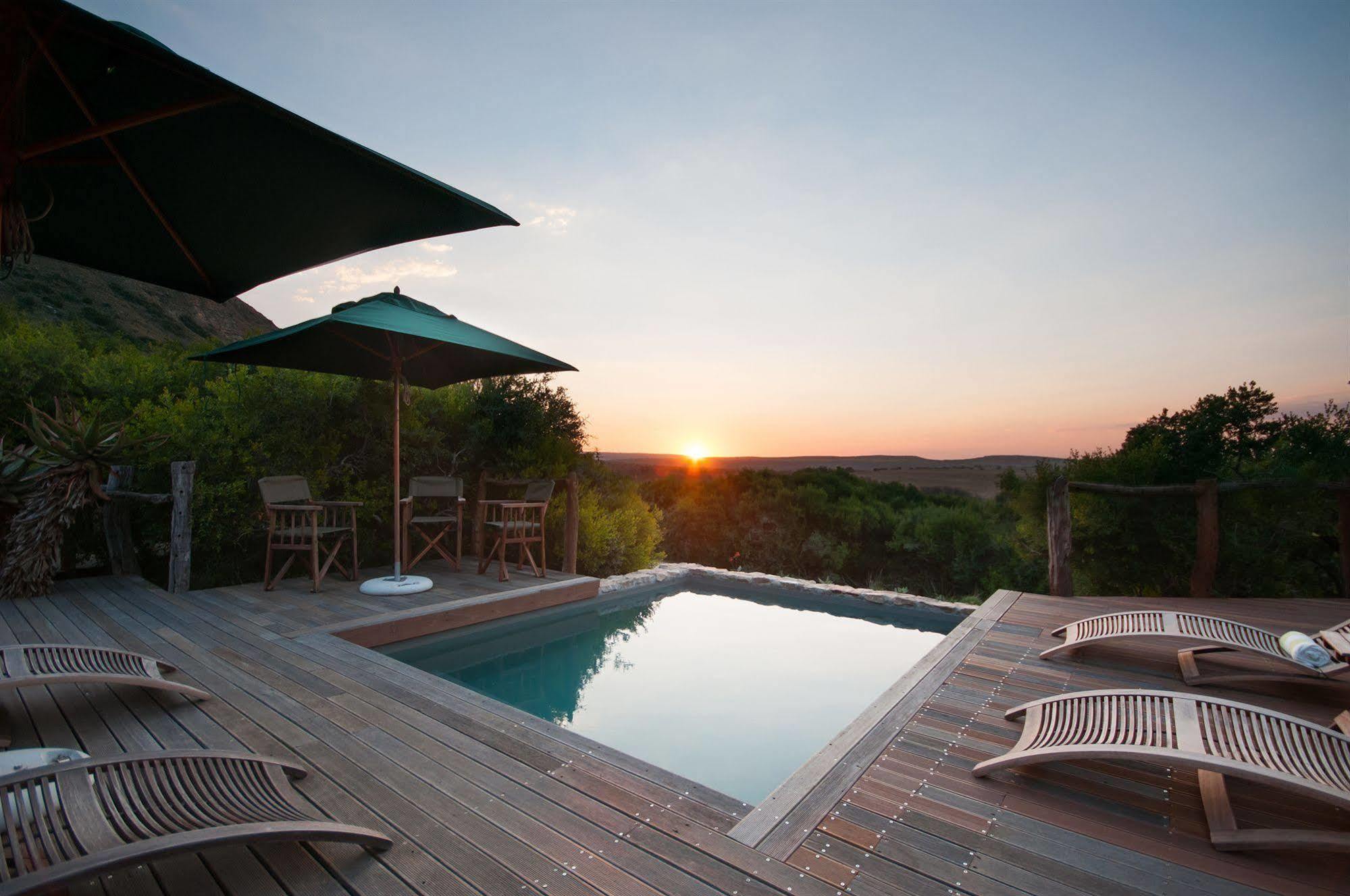 Hillsnek Safari Camp - Amakhala viltreservat Exteriör bild
